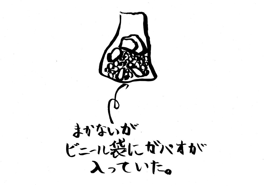 袋詰めのガパオライス【15】